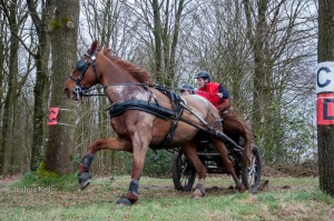 oefenmarathon 2016 MG 3582-3582    